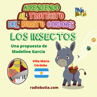 LOS INSECTOS