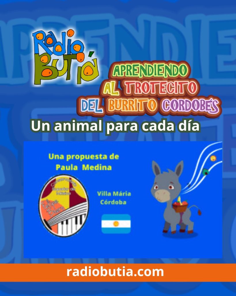 UN ANIMAL PARA CADA DÍA